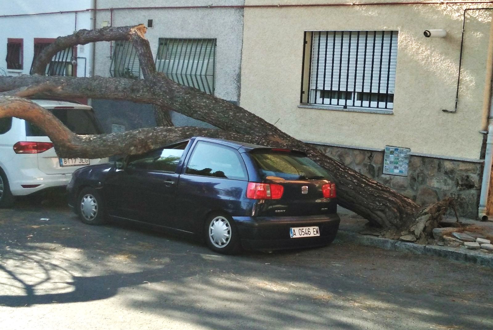 Un árbol de gran tamaño aplasta un vehículo en Manoteras