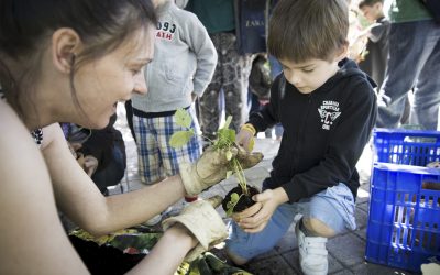 El Día del Árbol se celebra en Hortaleza todo un mes