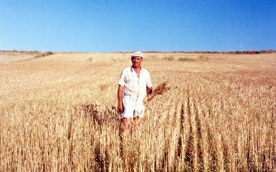 Nemesio Aguado, “el mayor cosechero de trigo de Hortaleza y Canillas”