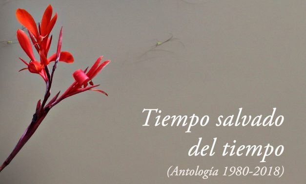Así da gusto, Hortaleza