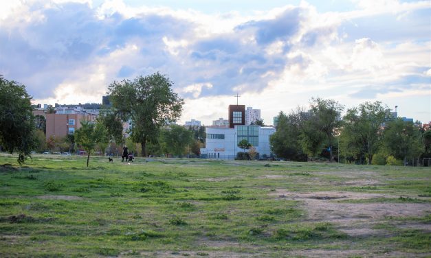 Concentración Proyecto Malinche NO