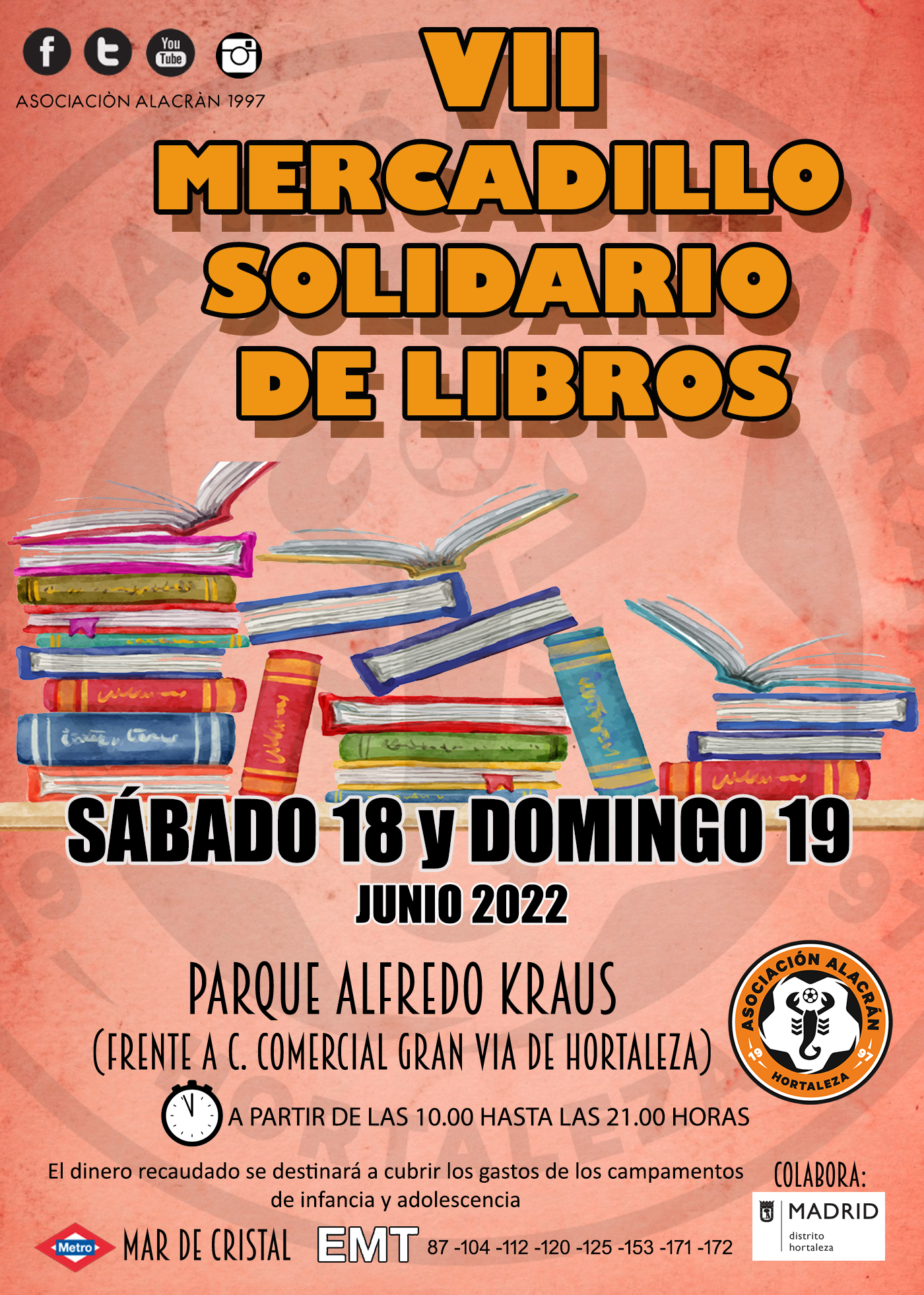 Mercadillo Solidario de Libros