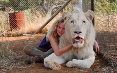 Cine de verano de Hortaleza: Mía y el león blanco