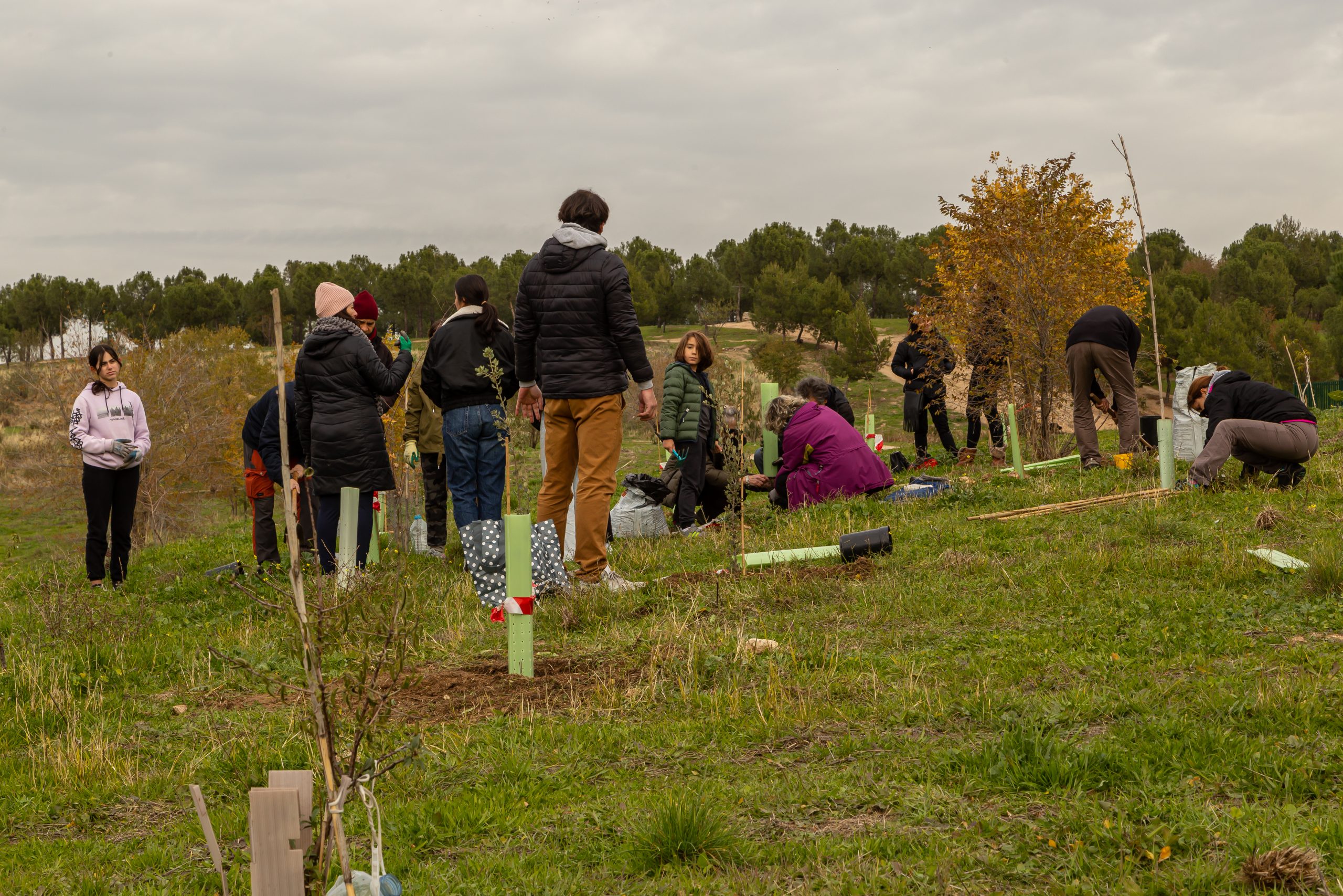 IMG_3415 Plantación en Hortaleza