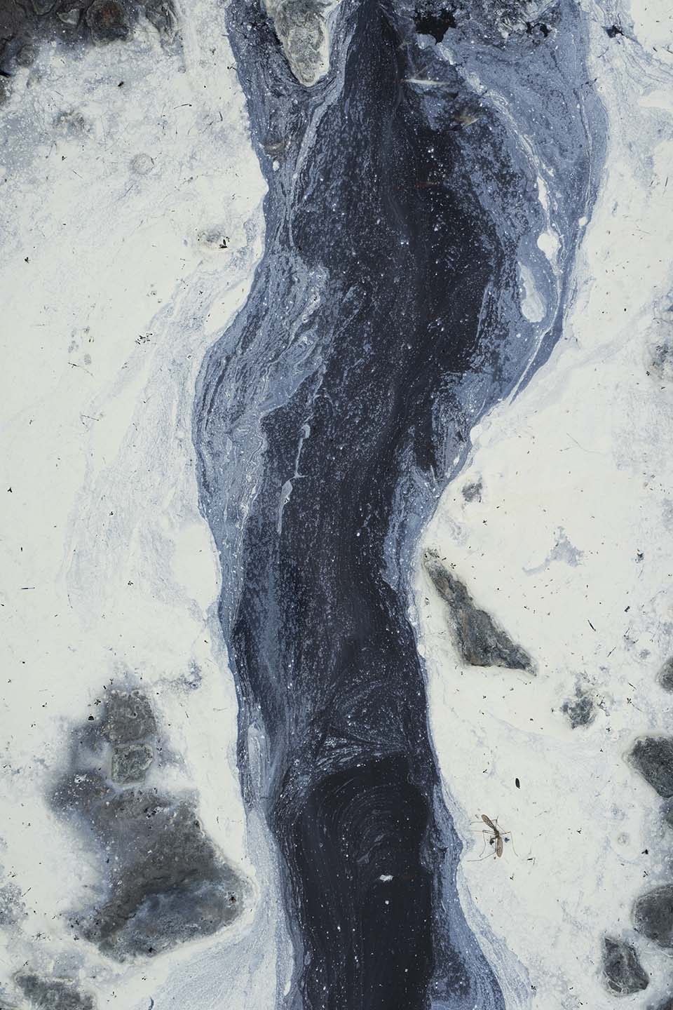 Catara Rego 3