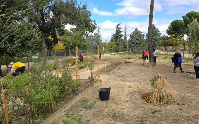 Jornada de trabajo en el huerto comunitario AV La Unión de Hortaleza