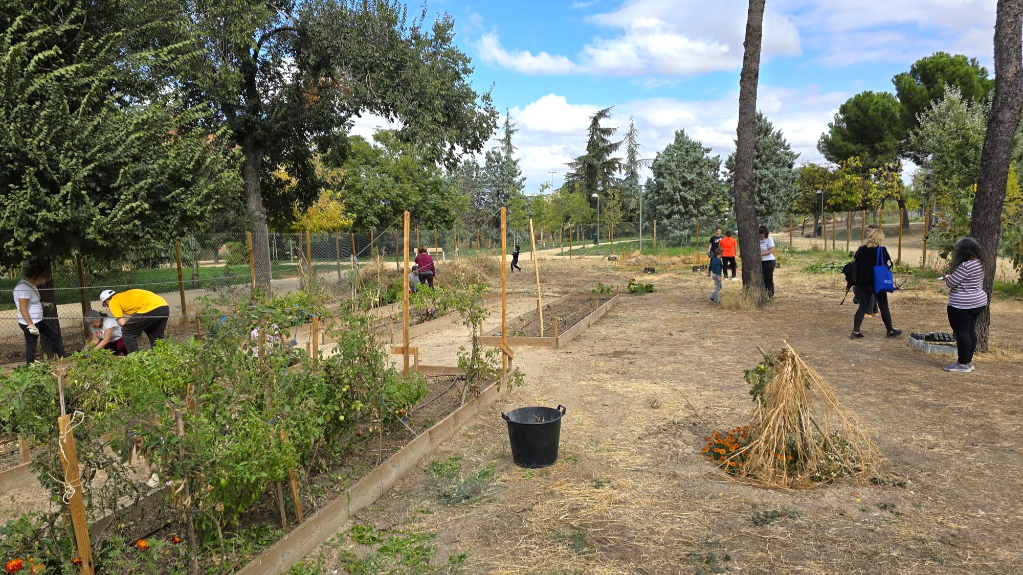 561347479 1242343374599846 3573536653209911977 n