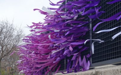 De espacios de igualdad a centros integrales de atención a la mujer