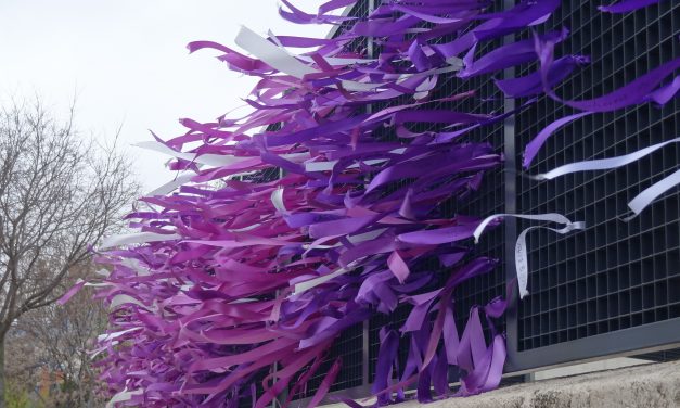 De espacios de igualdad a centros integrales de atención a la mujer