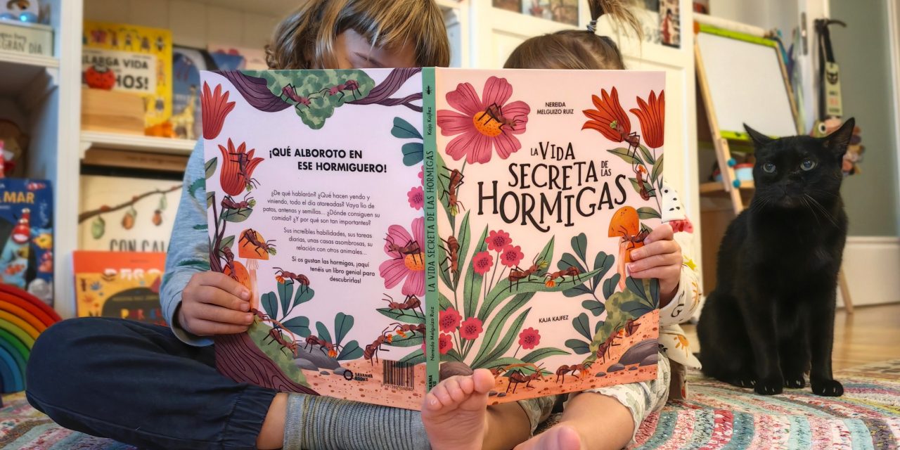 “Las hormigas tampoco son  tan diferentes de los humanos”