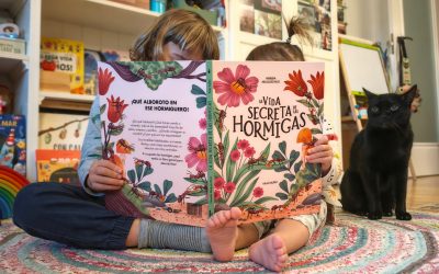 “Las hormigas tampoco son  tan diferentes de los humanos”