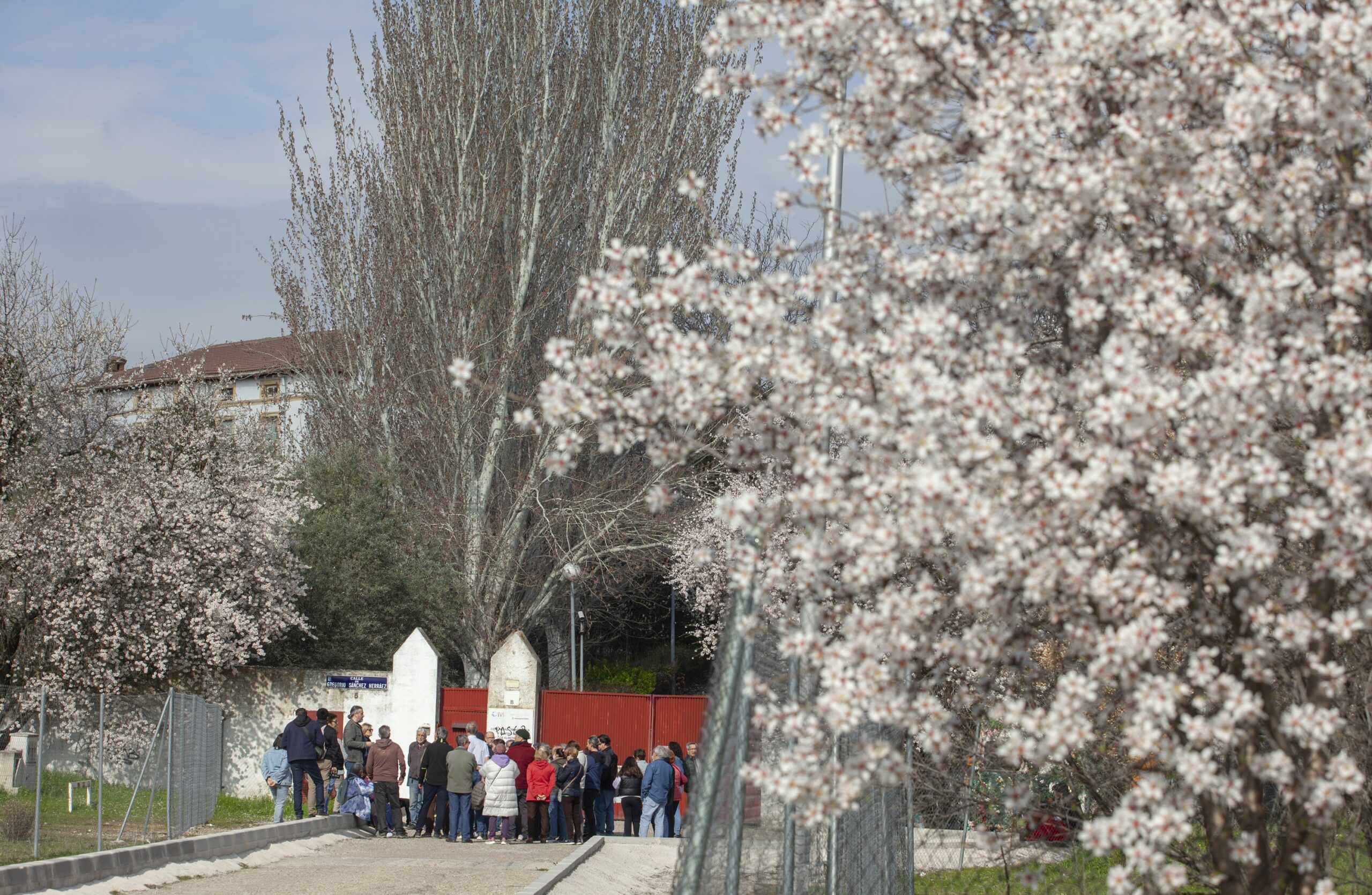 Huerta de Mena 0011 scaled