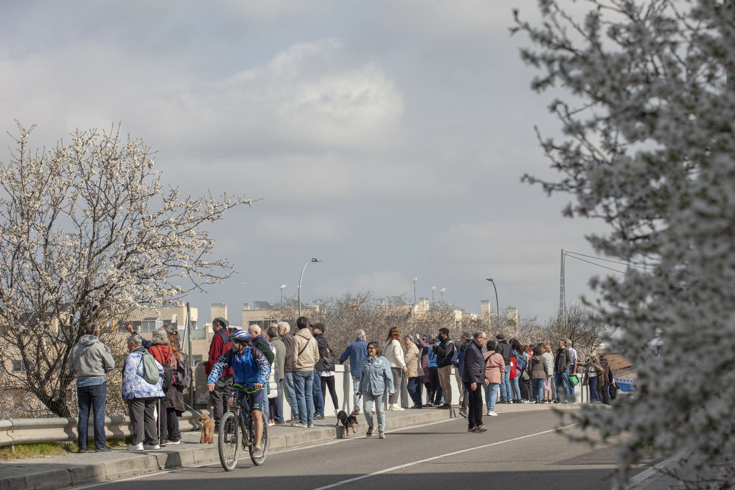 Huerta de Mena 0031 scaled