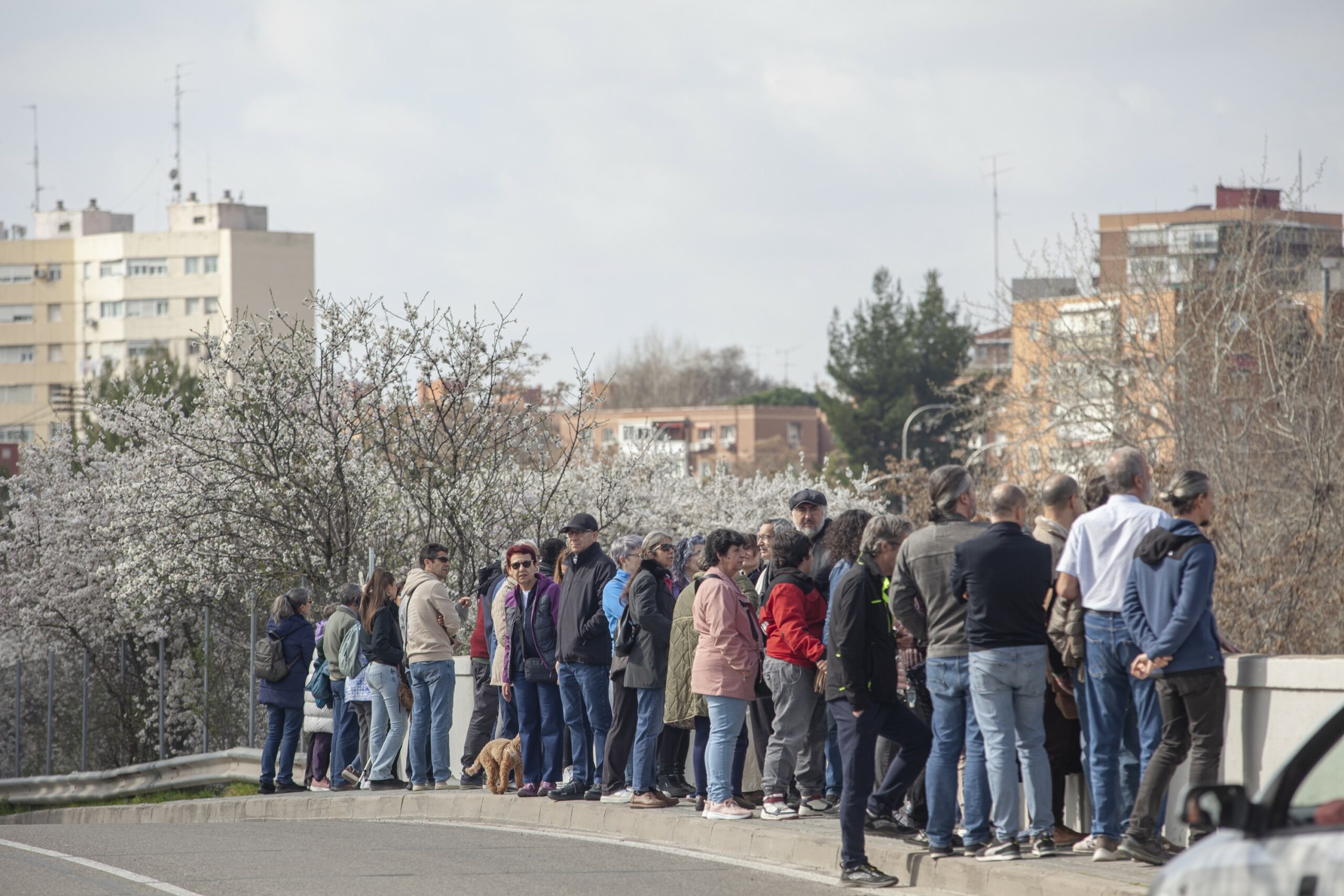 Huerta de Mena 0037 scaled