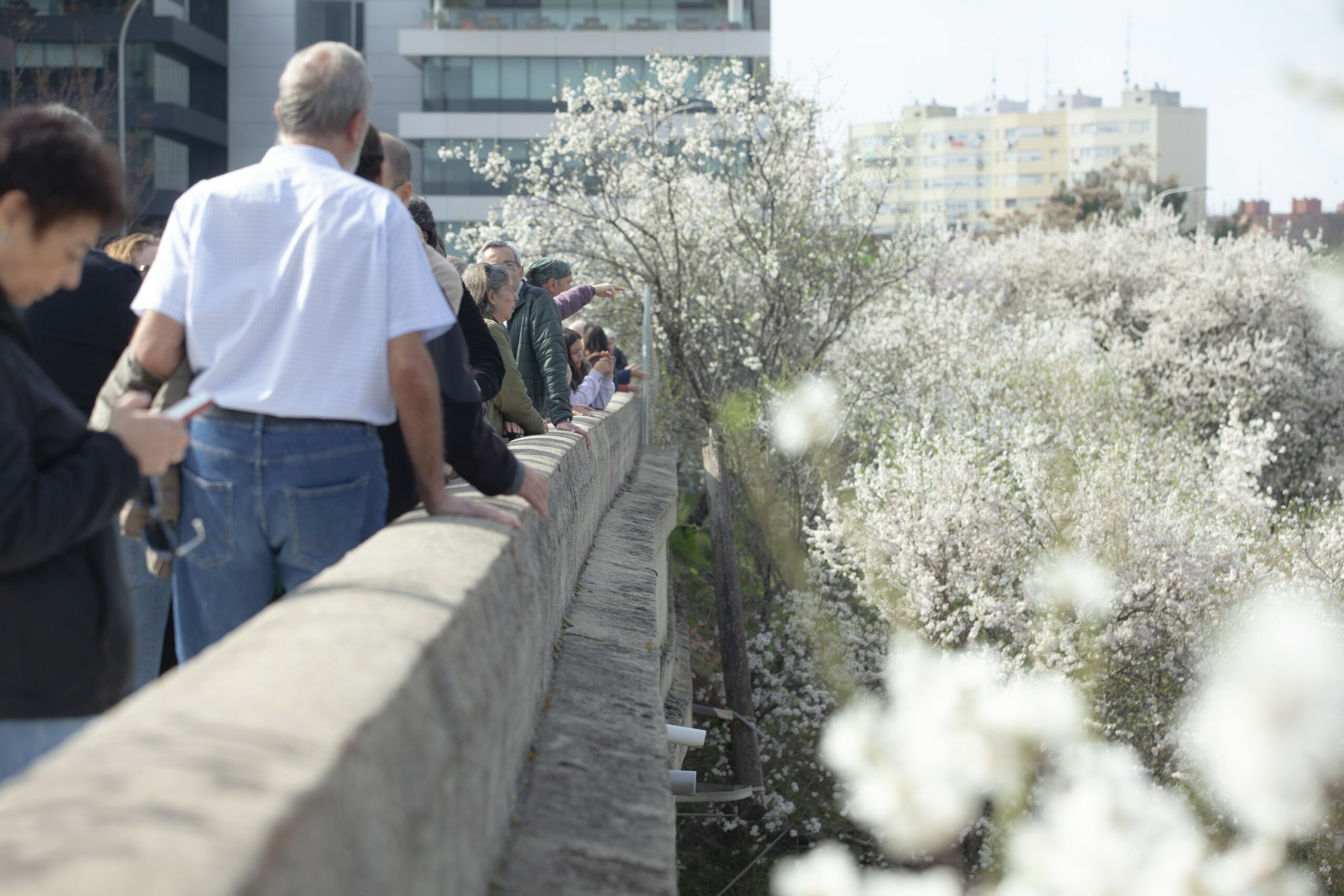 Huerta de Mena 0042 scaled