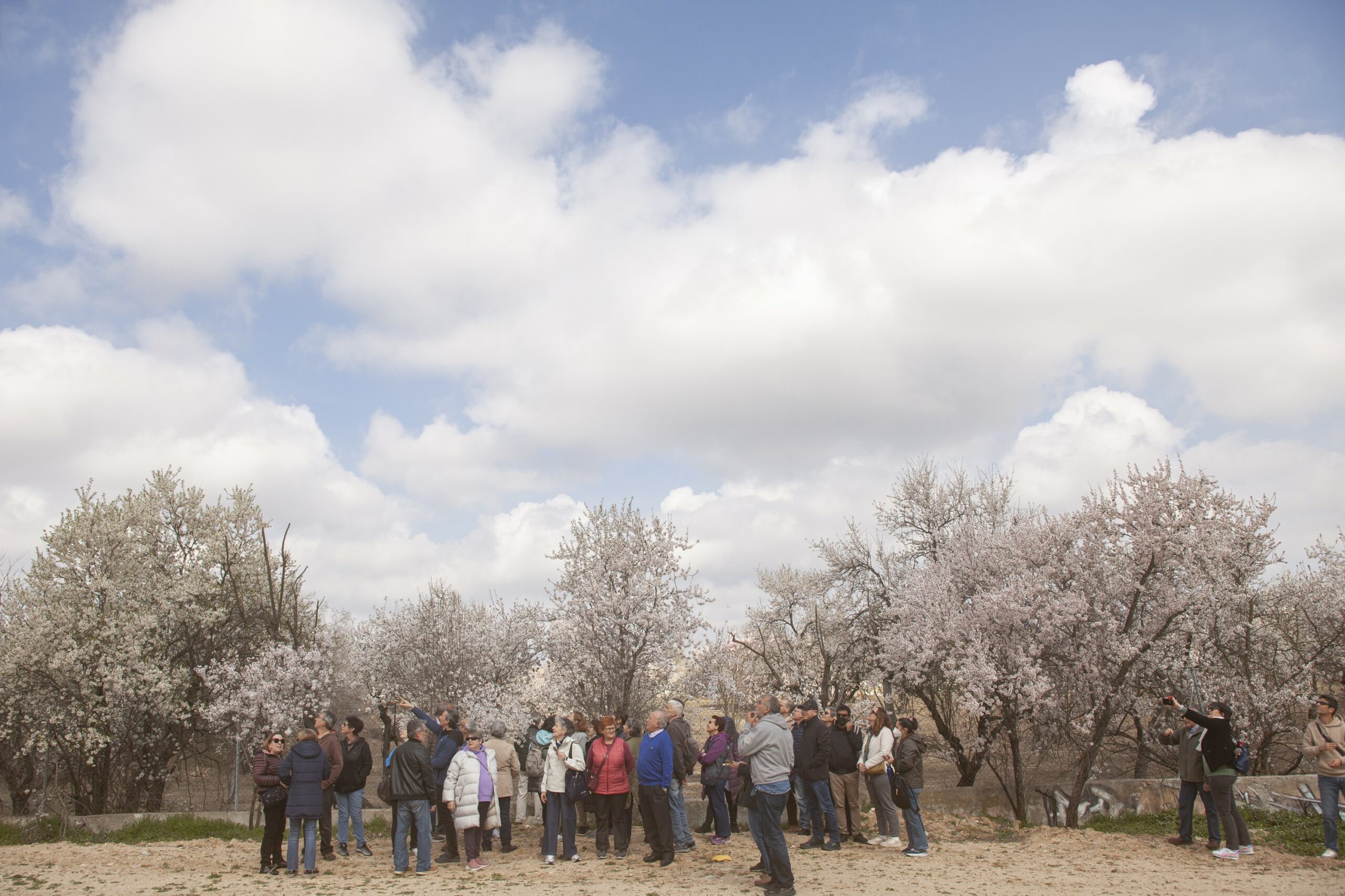 Huerta de Mena 0053 scaled
