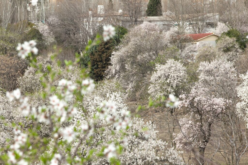 Paseo vecinal a Huerta de Mena 3 paseo vecinal Huerta de Mena