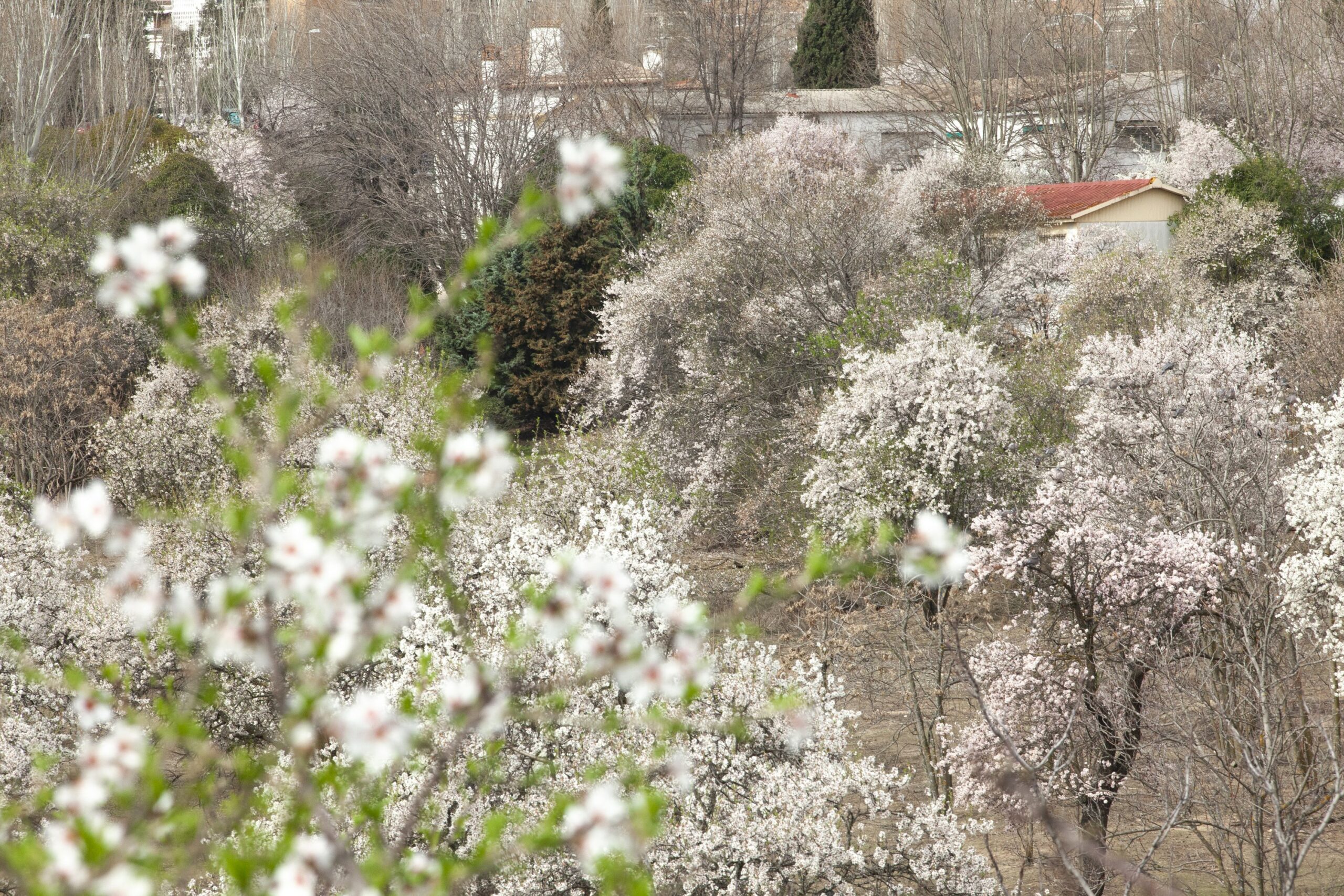 paseo vecinal Huerta de Mena