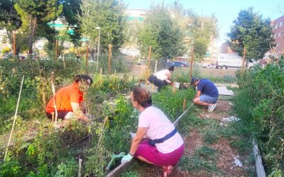 Jornada de trabajo vecinal en el huerto comunitario AV La Unión de Hortaleza