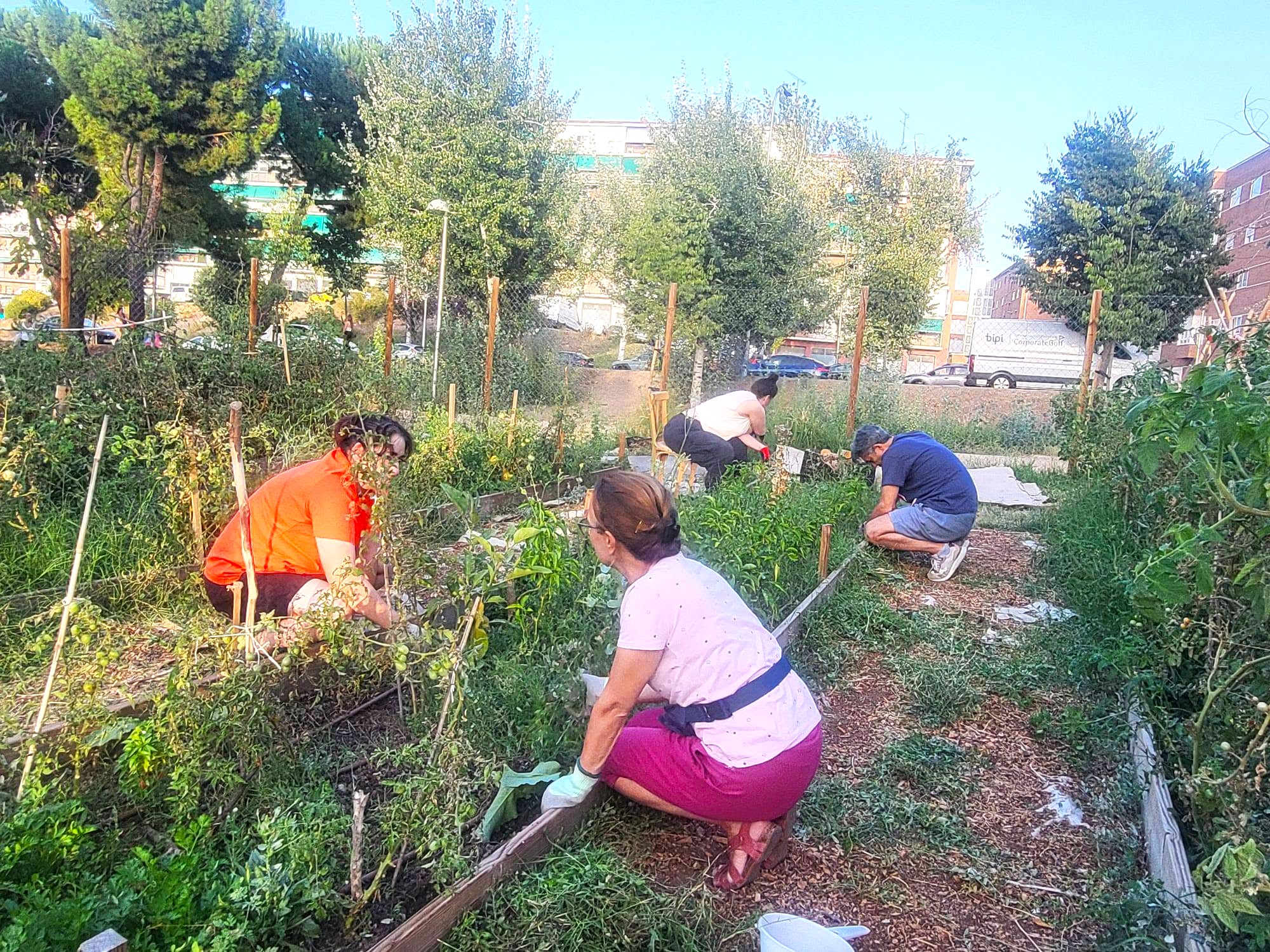 trabajo vecinal en el huerto comunitario AV La Unión